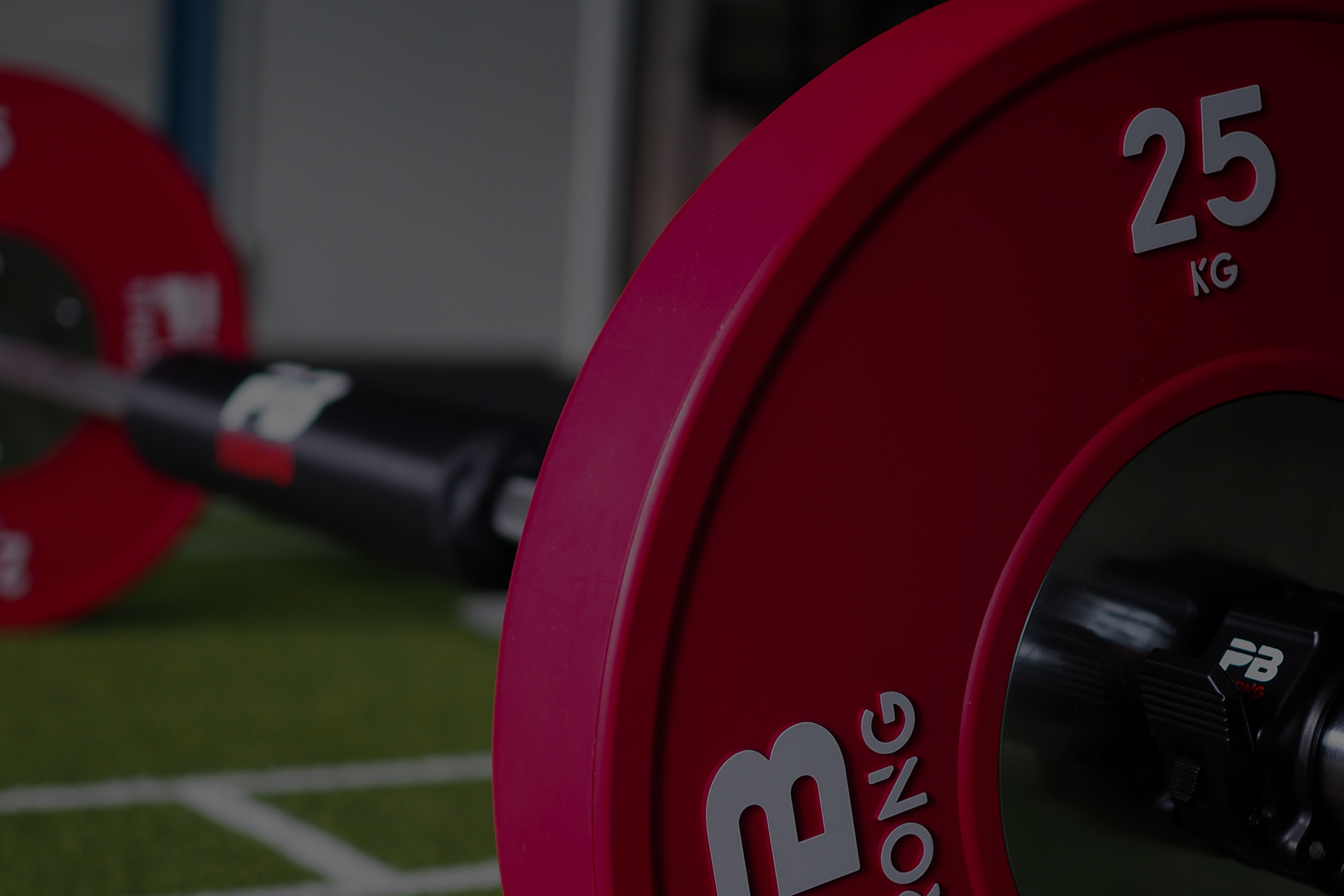 banner_category_weight plates