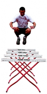 Haie de puissance  (pièce)