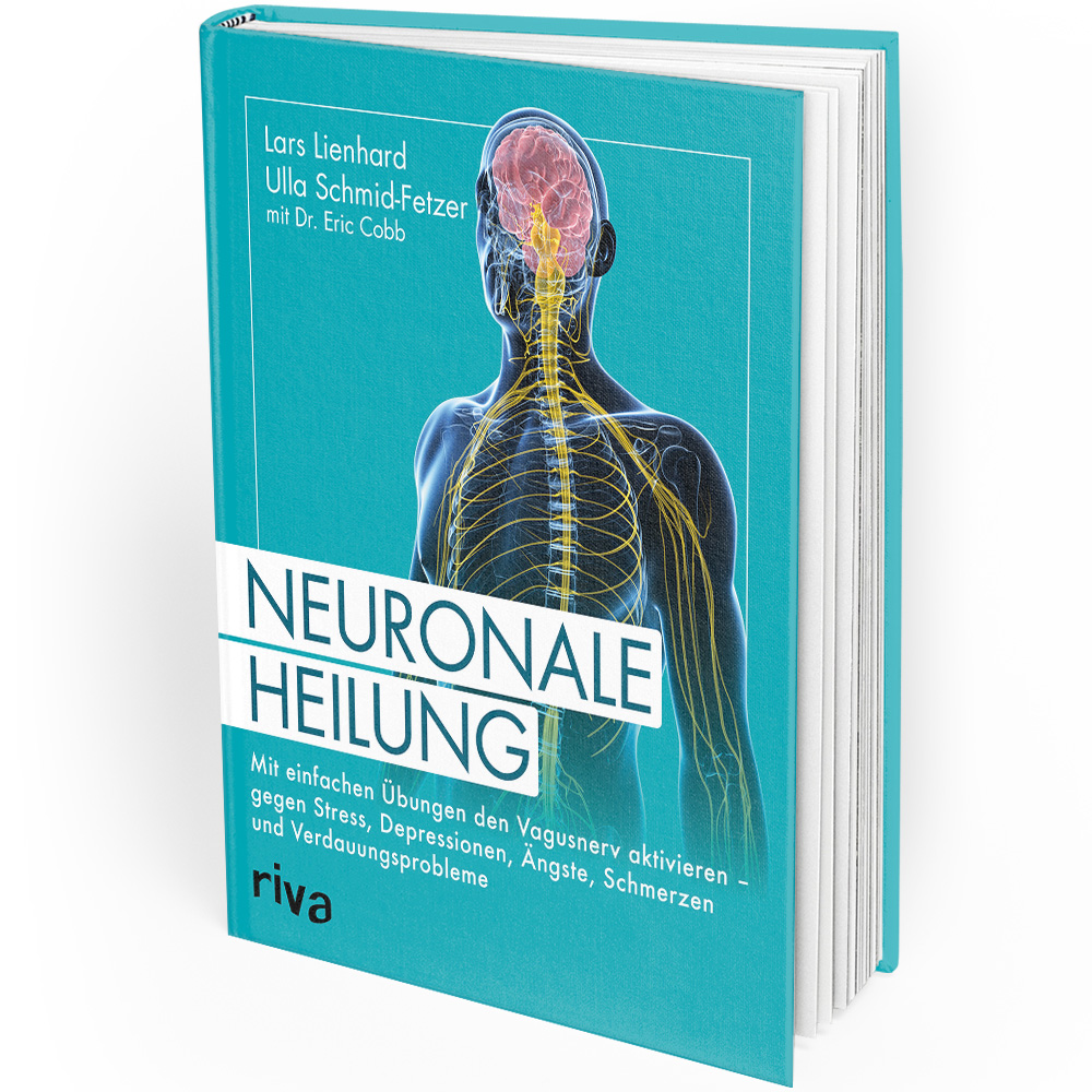La guérison neuronale (livre)