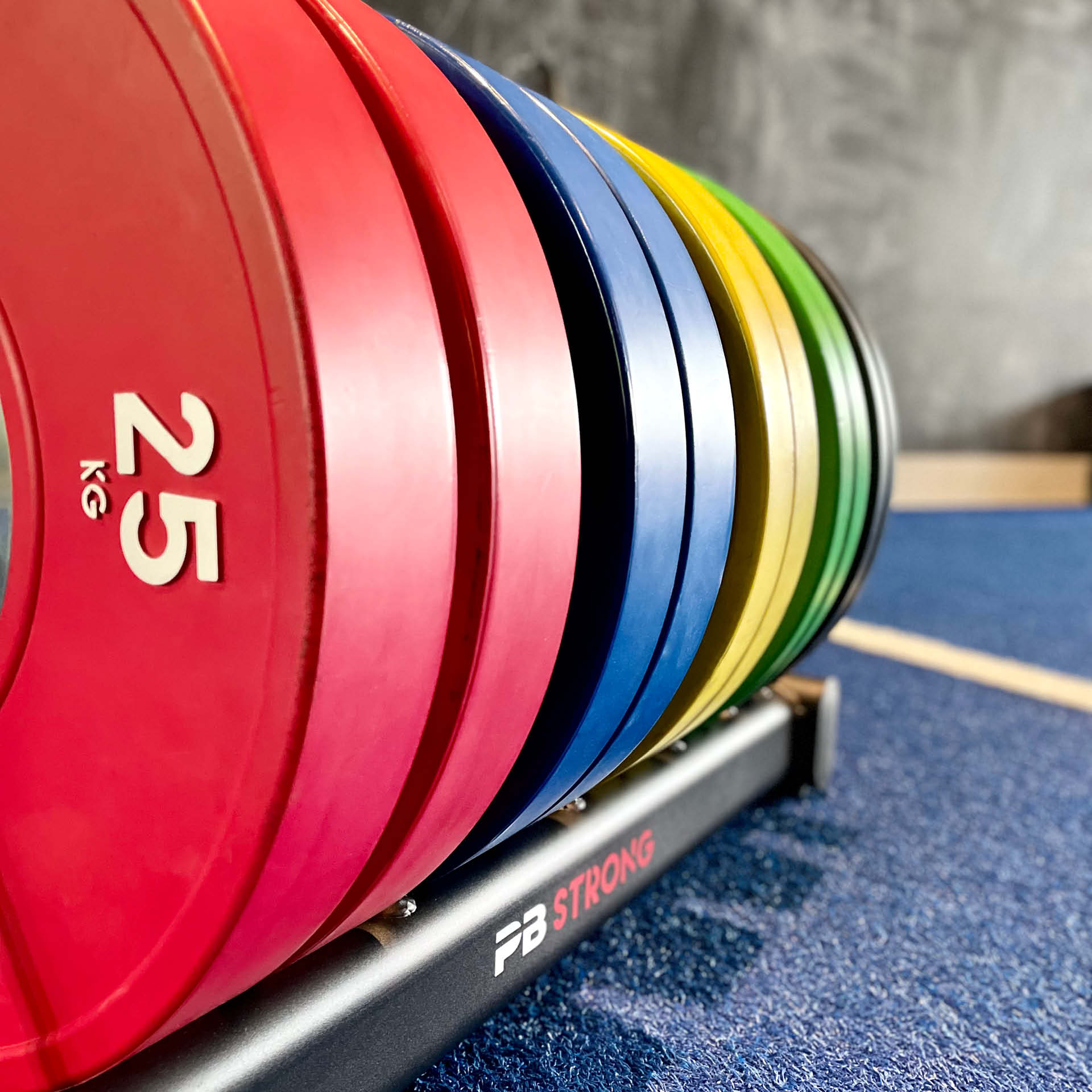 Porte-disques PB Strong à roulettes
